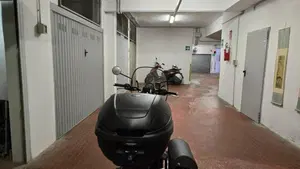 Triumph Speed Twin 900 (2023 - 24)  (5)