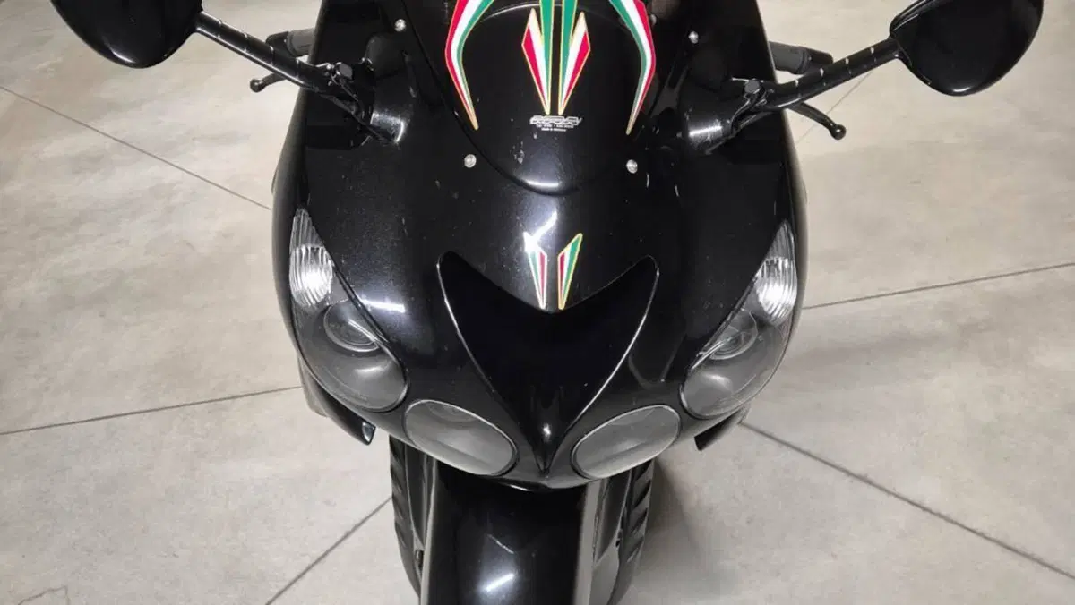 Kawasaki ZZR 1400 (2006 - 11)  (3)