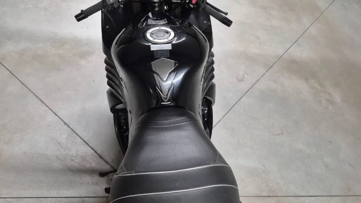 Kawasaki ZZR 1400 (2006 - 11)  (7)