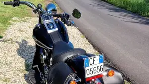 Harley-Davidson 1450 Heritage Springer Classic (2005 - 07) - FLSTSC  (5)