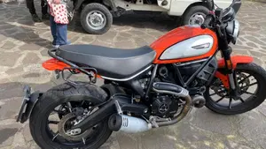 Ducati Scrambler 800 Icon (2021 - 22)  (4)