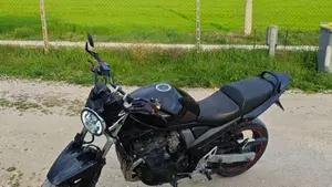 Suzuki GSF 650 Bandit (2005 - 06)  (4)