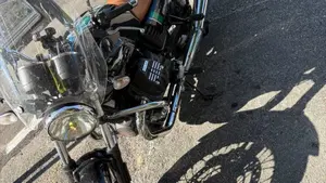 Moto Guzzi V7 III Special (2017 - 20)  (3)