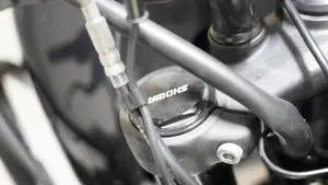 Royal Enfield Himalayan 450 (2024 - 26)  (10)