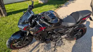 Kawasaki Z 650 (2021 - 24)  (5)