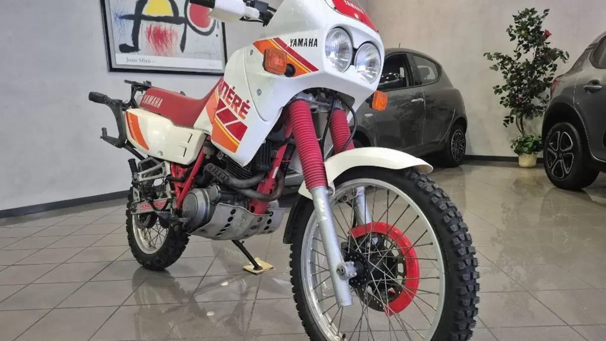 Yamaha XT 600 Z Tenerè (1990 - 92)  (4)