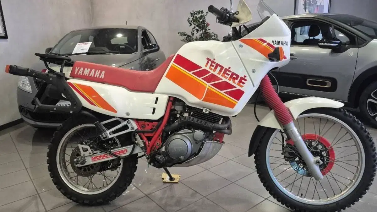 Yamaha XT 600 Z Tenerè (1990 - 92)  (5)