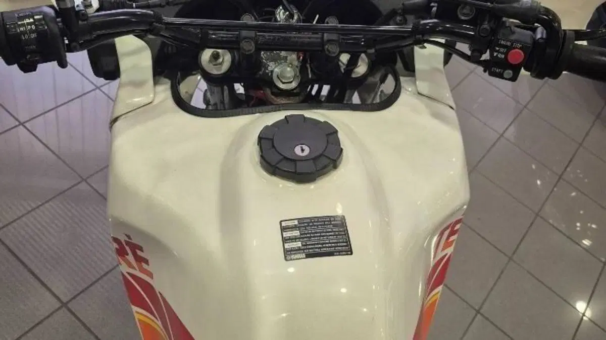 Yamaha XT 600 Z Tenerè (1990 - 92)  (10)