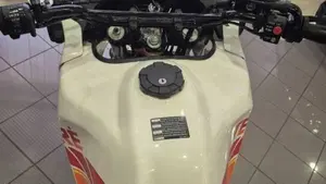 Yamaha XT 600 Z Tenerè (1990 - 92)  (10)