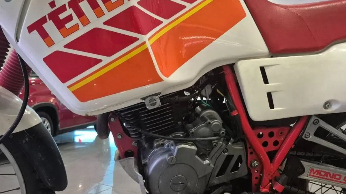 Yamaha XT 600 Z Tenerè (1990 - 92)  (12)