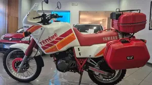 Yamaha XT 600 Z Tenerè (1990 - 92)  (19)