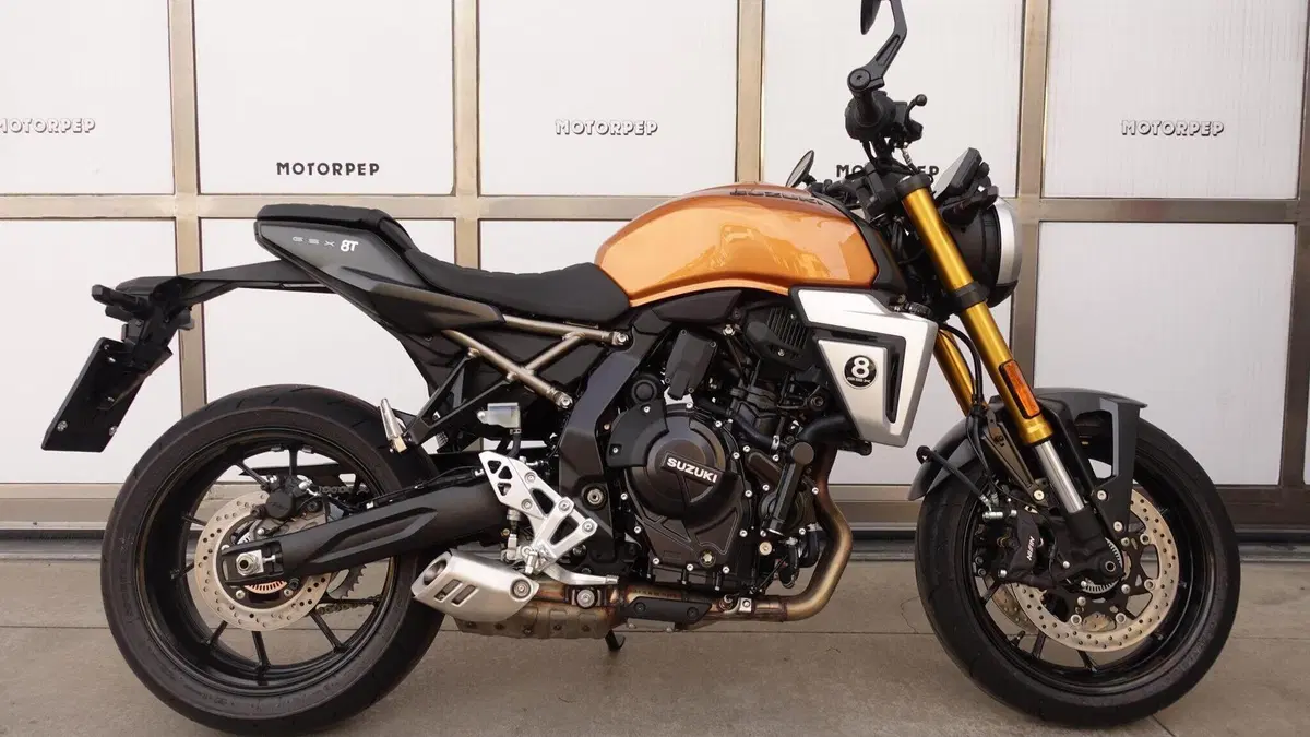 Suzuki GSX-8T (2025 - 26)  (3)