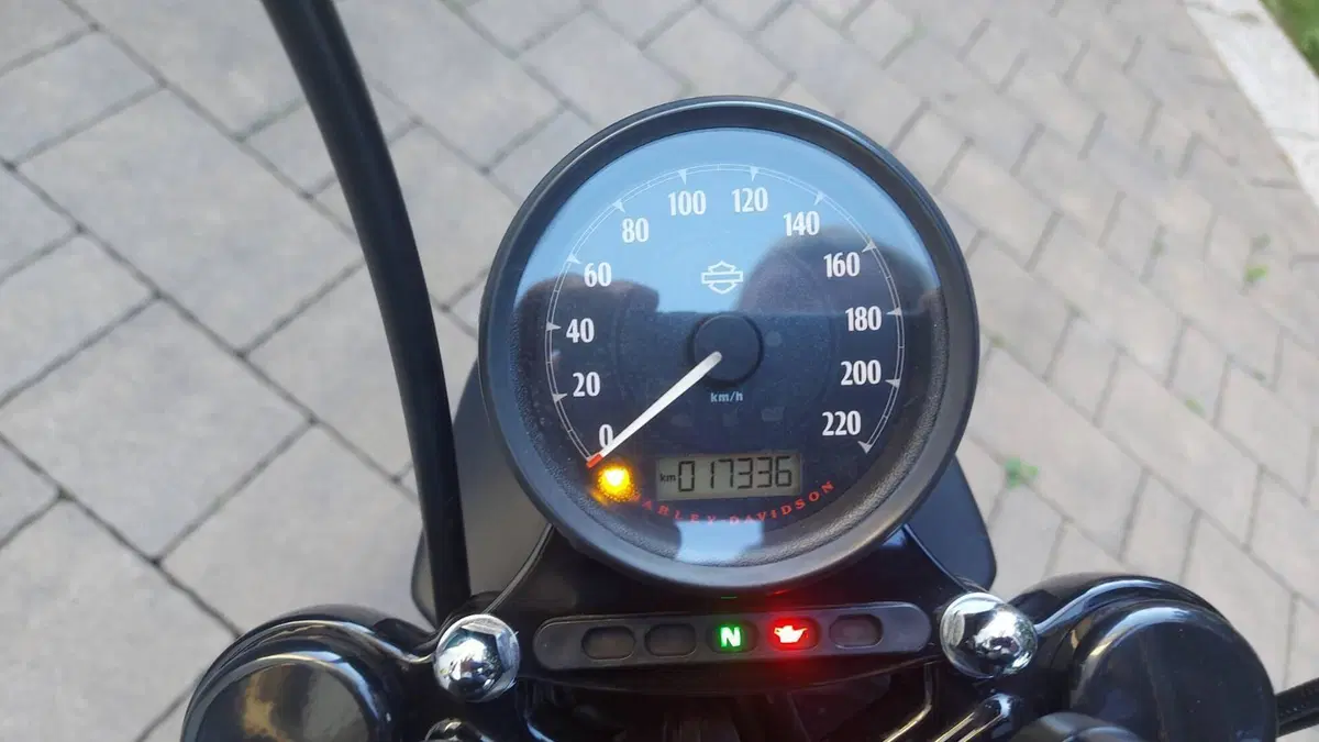 Harley-Davidson 883 Iron (2014 - 16) - XL 883N  (4)