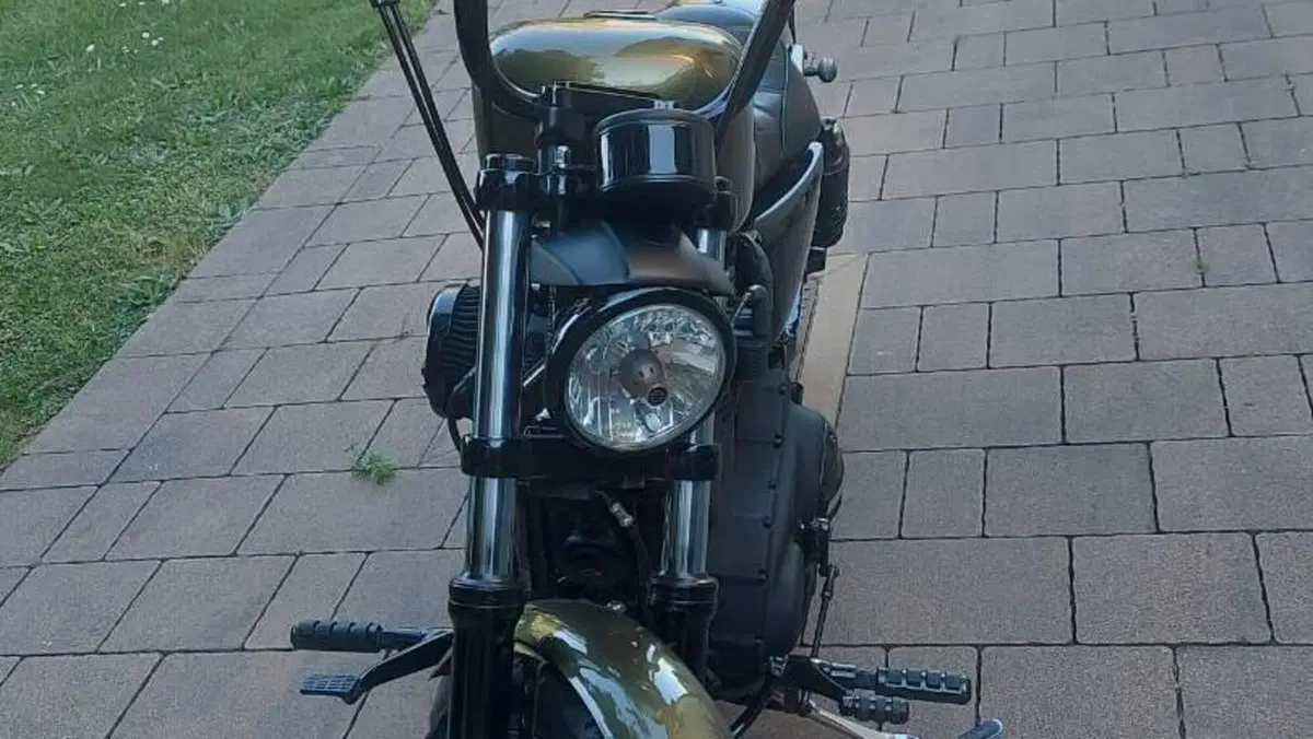 Harley-Davidson 883 Iron (2014 - 16) - XL 883N  (6)