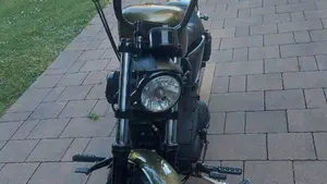 Harley-Davidson 883 Iron (2014 - 16) - XL 883N  (6)