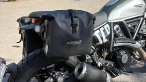 Ducati Scrambler 800 Icon (2023 - 24)  (5)