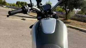 Ducati Scrambler 800 Icon (2023 - 24)  (6)