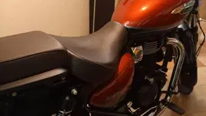 Royal Enfield Meteor 350 Aurora (2024 - 26)  (7)