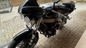 Triumph   (3)