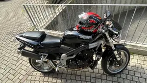 Triumph   (6)