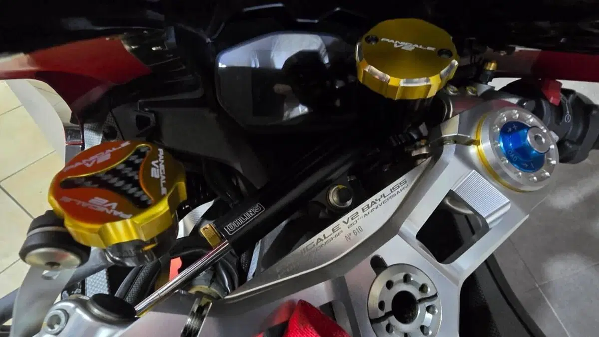 Ducati Panigale V2 Bayliss 1st Championship 20th Anniversary (2021 - 24)  (14)