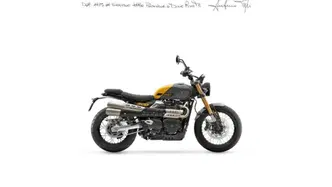 Triumph Street Scrambler 900 (2021 - 22) nuova
