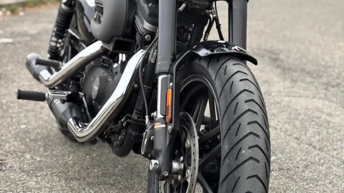 Harley-Davidson 1200 Roadster (2017 - 20) - XL 1200R  (2)