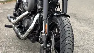 Harley-Davidson 1200 Roadster (2017 - 20) - XL 1200R  (2)