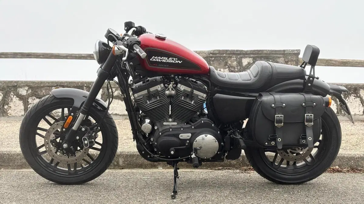 Harley-Davidson 1200 Roadster (2017 - 20) - XL 1200R  (3)