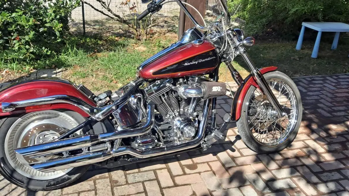 Harley-Davidson 1450 Deuce (2001 - 05) - FXSTDI  (17)