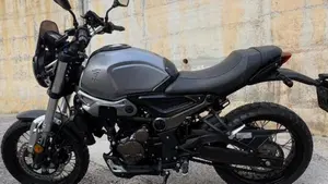Voge Trofeo 300ACX Scrambler (2021 - 26)  (3)