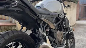 Voge Trofeo 300ACX Scrambler (2021 - 26)  (5)