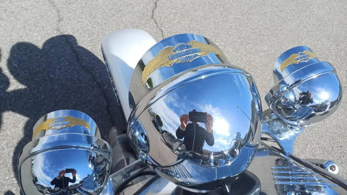 Harley-Davidson 1450 Deluxe (2005 - 06) - FLSTNI  (6)