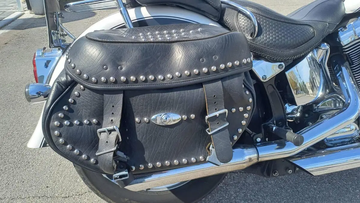 Harley-Davidson 1450 Deluxe (2005 - 06) - FLSTNI  (13)