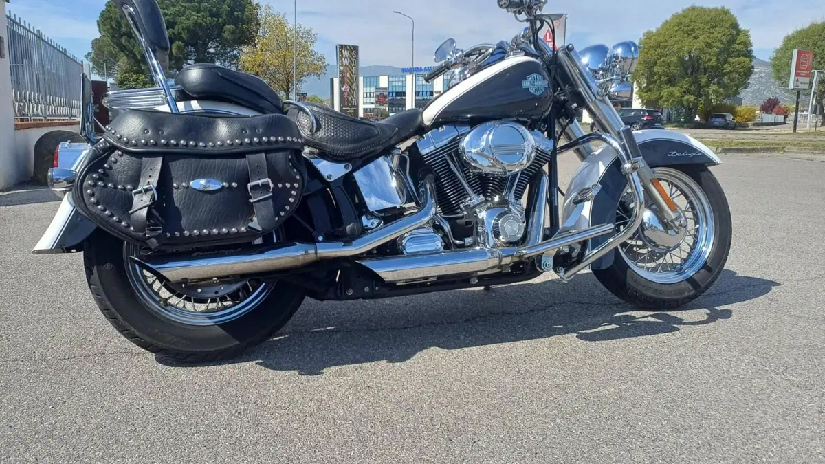 Harley-Davidson 1450 Deluxe (2005 - 06) - FLSTNI  (14)