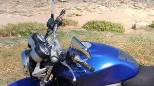 Honda Hornet 600 (2003 - 04)  (16)