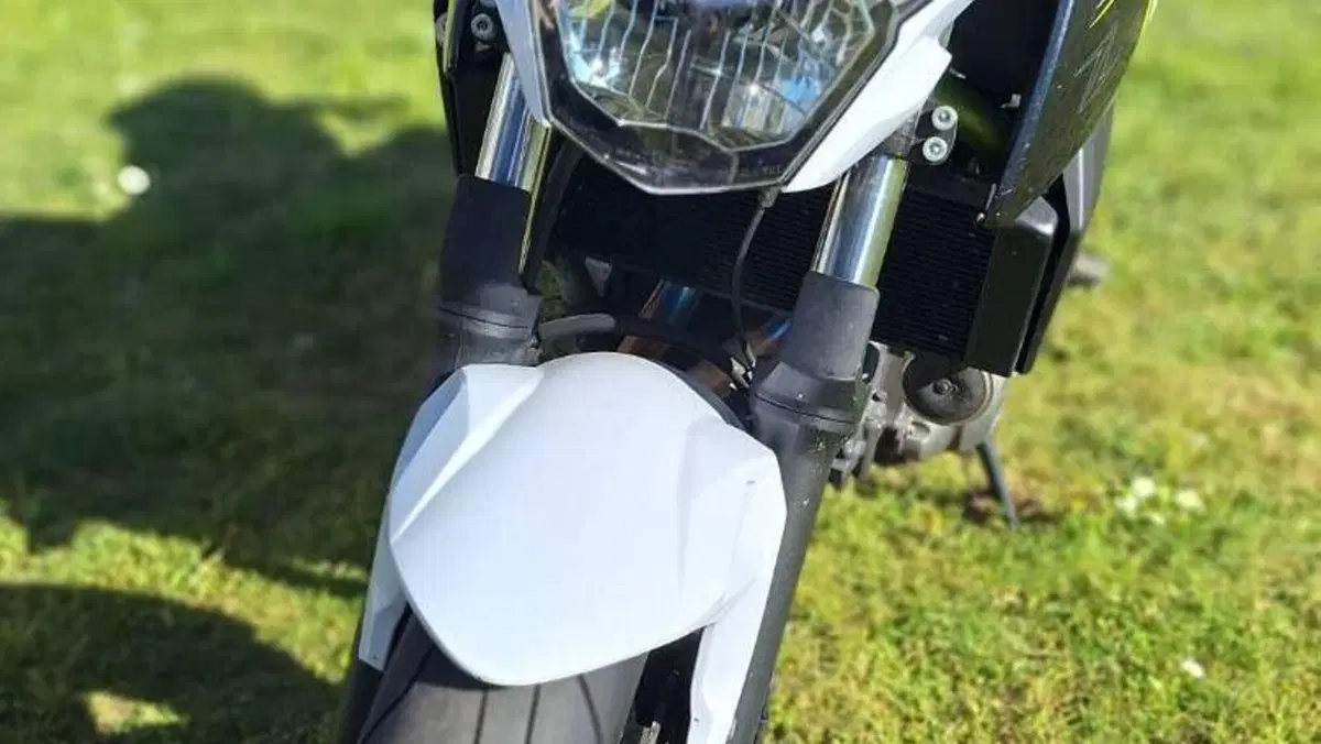 Kawasaki Z 650 (2017 - 19)  (2)