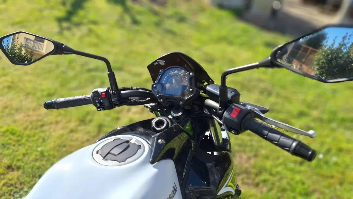 Kawasaki Z 650 (2017 - 19)  (3)