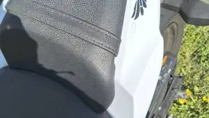 Kawasaki Z 650 (2017 - 19)  (7)