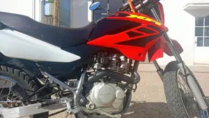 Honda XR 125 L (2003 - 05)  (18)