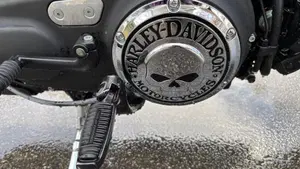 Harley-Davidson 883 Iron (2012 - 14) - XL 883N  (5)