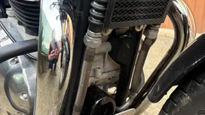 Royal Enfield Interceptor 650 (2019 - 20)  (12)