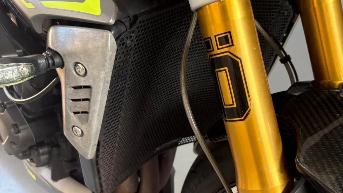Triumph Speed Triple 1200 RS (2021 - 24)  (7)