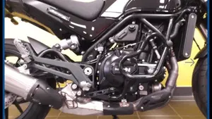 Benelli Leoncino 500 (2021 - 25)  (4)