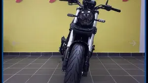 Benelli Leoncino 500 (2021 - 25)  (7)