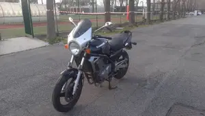 Kawasaki ER-5 500 (2001 - 06)  (2)