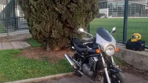Kawasaki ER-5 500 (2001 - 06)  (8)