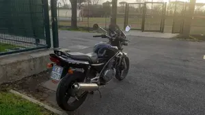 Kawasaki ER-5 500 (2001 - 06)  (9)