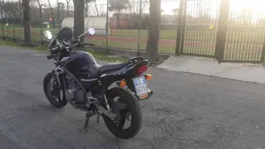 Kawasaki ER-5 500 (2001 - 06)  (3)