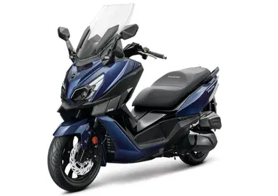 Sym Cruisym 300 E5+ (2025 - 26) - Annuncio 9980052